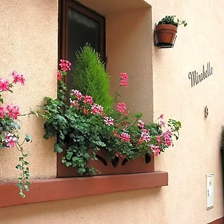 Mirabelle