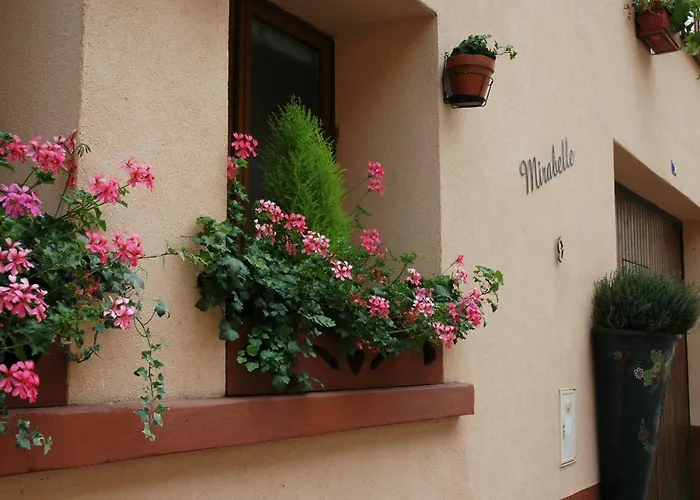 Mirabelle Bed & Breakfast